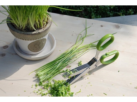 kitchen-gadgets-herb-scissors